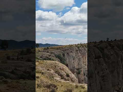 Preview image for the video "Busa 2023 09 vid20230831134702".