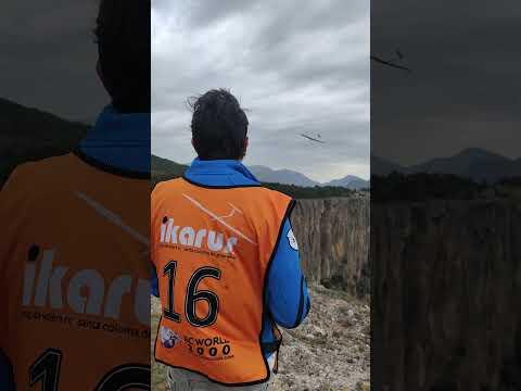 Preview image for the video "Busa 2023 09 vid20230903105227".