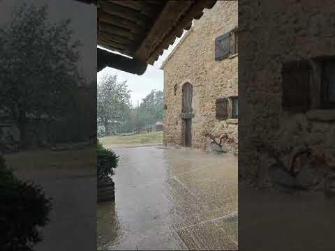 Preview image for the video "Busa 2023 09 vid 20230902 wa0025".