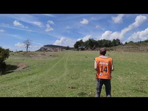 Preview image for the video "Busa 2022-VID 20220904 132201".