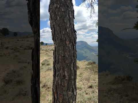 Preview image for the video "Busa 2023 09 vid20230831134622".