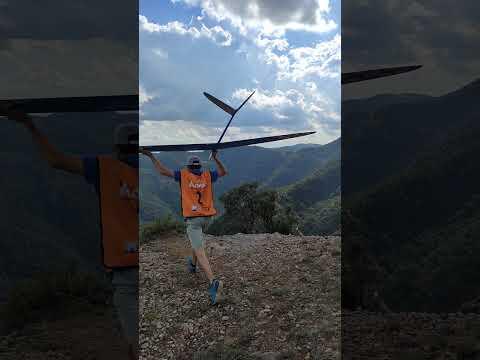 Preview image for the video "Busa 2023 09 vid20230901173518".